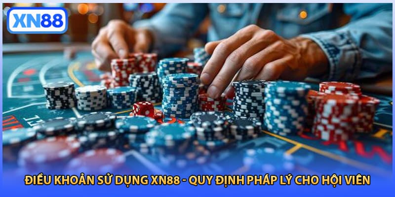 Điều Khoản Sử Dụng XN88 - Quy Định Pháp Lý Cho Hội Viên